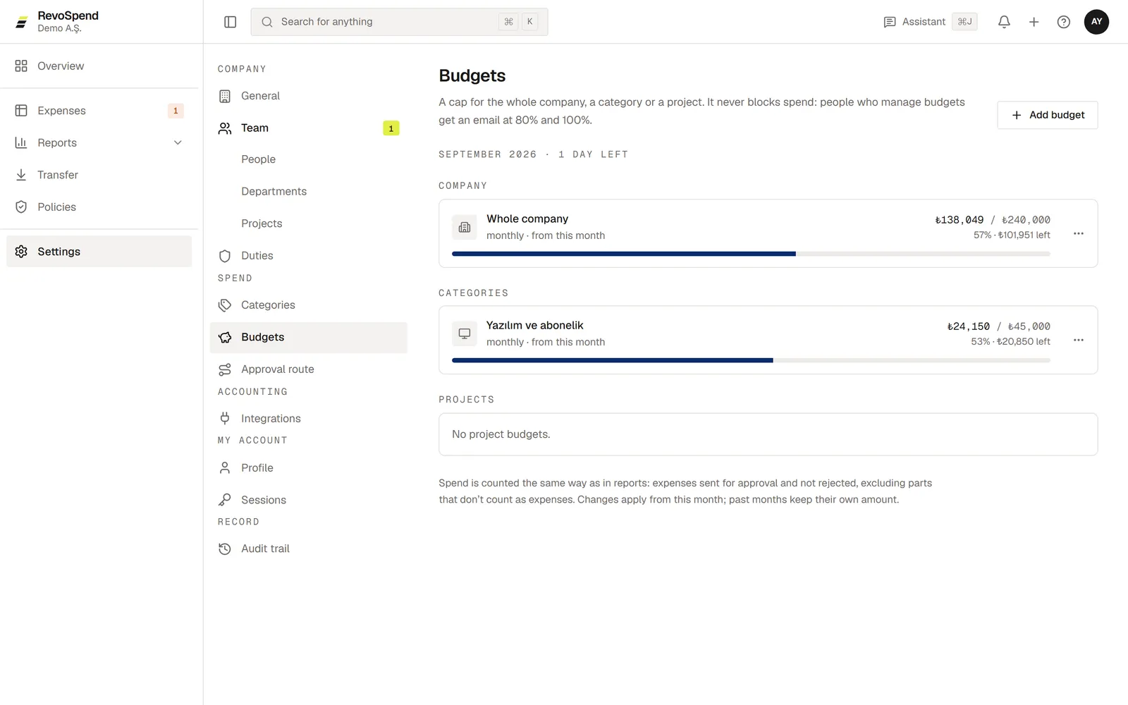 The Budgets page with a company budget and a category budget